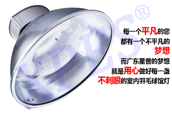 羽毛球馆灯.jpg