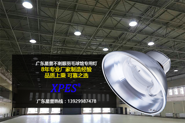 羽毛球场用灯.jpg
