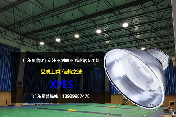 羽毛球馆用灯.jpg